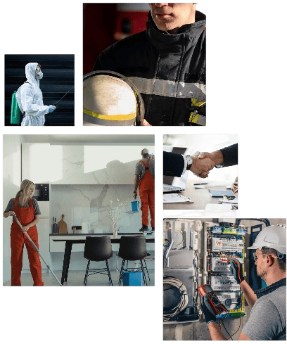 sectors